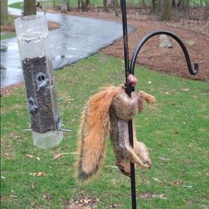 Meet your Posher, Brett